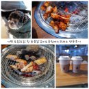 동반 나들이] - 실내 동반 입장 ⭕️ 토닭토닭 참숯불 닭갈비&amp; 클럽에스프레소(애견 동반❌) 설악점 방문 후기
