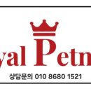 헤이댕댕 이미지