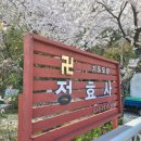 정효사