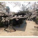 장충체육회 이미지