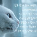 만월의술래 이미지