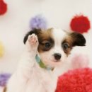 모던 그레이 이미지