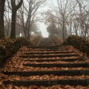 행운게임장 이미지