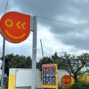 한수풀주유소 | 4월첫주 일상 올레길2코스 성산일출봉 고사리채집 하겐다즈