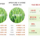 영광그린슈퍼