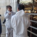 가장축산 이미지