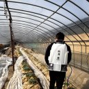 계룡 농장 | 충전식분무기 편안한 원예를 위한 계룡분무기 사용후기