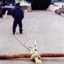 송라마을 이미지