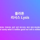 리시스 이미지
