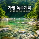 여울숲펜션 | 경기도 가평 녹수계곡 여름 여행 | 넓은 물길과 숲그늘이 어우러진 당일치기 피서지