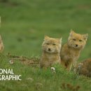 여우PC방 이미지