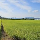 능주면 하나로마트 앞 이미지