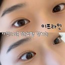 이프라인 | 세종 나성동 이프라인ㅣ노글루 속눈썹펌