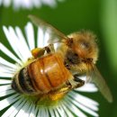 전북과학고등학교 이미지