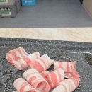 흑대패