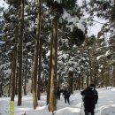 혜광갈비 | 한라산 겨울('08.2.16)