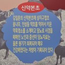 WR(서울특별시)-[상암로]-상-22 | 흑염소요리 잘하는 굽은다리역 맛집, 대가흑염소 명일점에서 몸 보양하고 맛으로 보신한 후기
