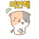 BK카크리닉 이미지