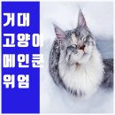 메인쿤 하우스 이미지