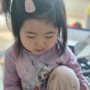일호농원 이미지