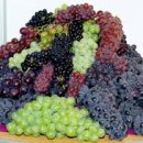 장수원민박 이미지