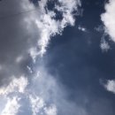 고탄막국수 이미지