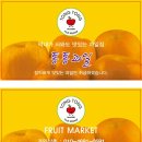 봉진농장 | 밀양 얼음골사과 택배작업중