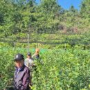 김대규농장 이미지