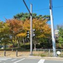 해안자동차공업사 이미지