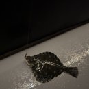 아싸실내낚시터 | 남양주낚시터 히트실내바다낚시터