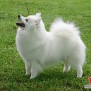 도그마루(왕십리점) 이미지