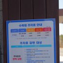 향기4로+향기5로 | 바다향기수목원 봄 나들이 | 경기도 안산 무료 수목원 완전 정복 후기