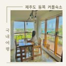 나른한 당근 | 제주도 동쪽 10만원대 가성비 커플숙소 나른한당근