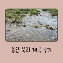 굴암 | 용인 묵리 계곡 - 아이들과 무료로 이용 가능한 용인 계곡, 위치 및 솔직 후기