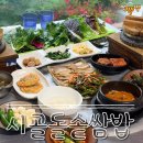 51 | [충남/보령] 돌솥밥으로 유명한 동대동 맛집 '시골돌솥쌈밥' 솔직후기