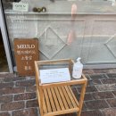 힐링 향기 프로젝트 : 향수 블랜딩부터 바디워시까지 | 서면 향수공방 '믈로(MEULO)', 조향사가 만든 향기 속으로 (feat. 부산의 바다)