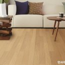 지아글로벌 이미지