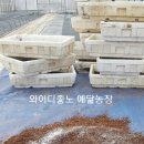 예닮농장 이미지