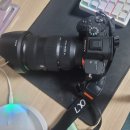 파파스패션 | 카메라가방 900만원 장비 들고 다니는데 이 정도는 돼야죠 헤링본 숄더백