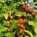 창주농장 이미지