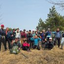 신안보건지소 | 신안 암태도(2026. 3. 15.)