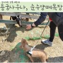 용궁목장 이미지