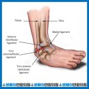 우리연합정형외과의원 이미지