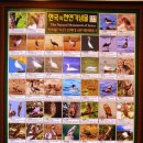 조류탐사과학관 이미지