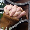 진명허브 이미지