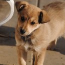 호박동물병원 이미지