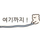 활어직판포장판매 이미지