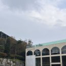 남양로 | 화성카페 카페밀마, 남양 할로윈 포토존 가득한 대형 베이커리 카페 후기