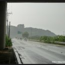 대보천 제방도로 이미지