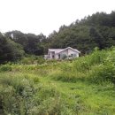 일진농장 이미지